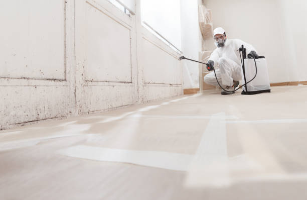 24/7 Emergency Attic Mold Removal experts in Jordan, MN